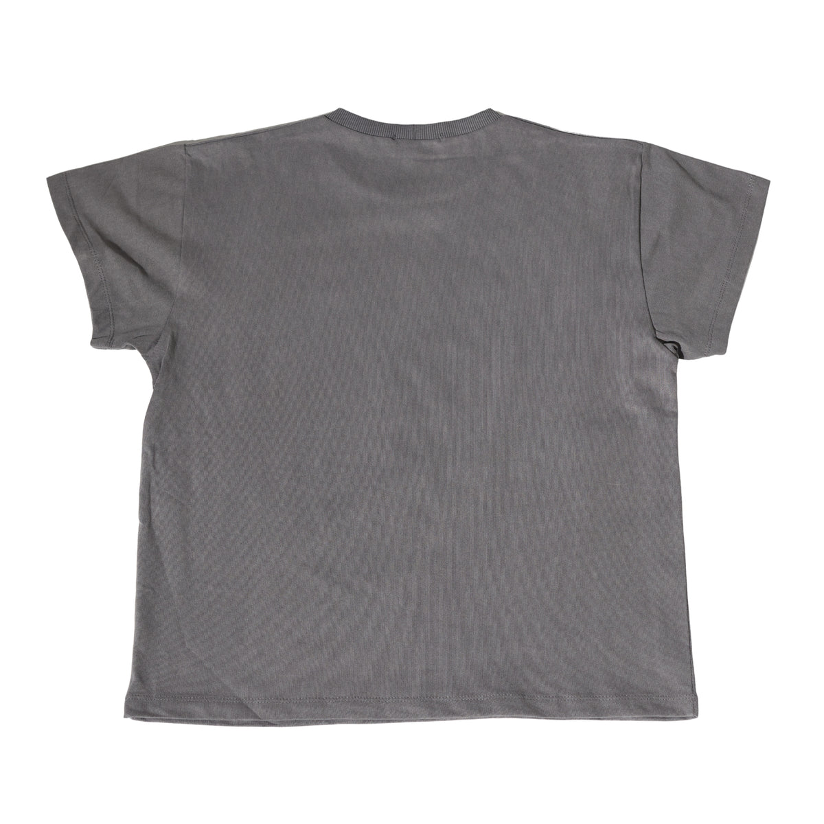 VICIOUS Baby Tee in vintage Grey wash