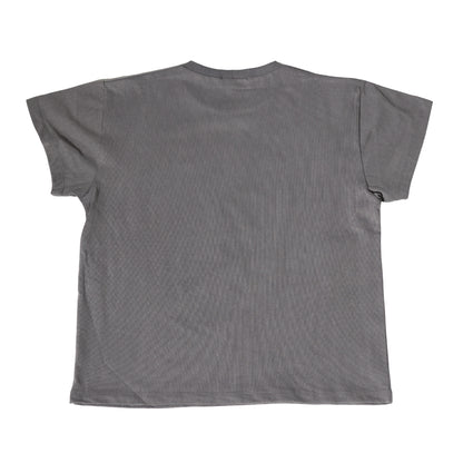 VICIOUS Baby Tee in vintage Grey wash